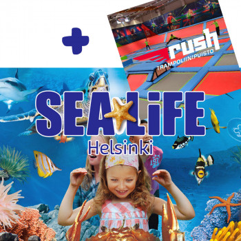 Merenalaista elämää Sealifessa